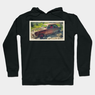 Shoe Box Ford in the Garden Hoodie